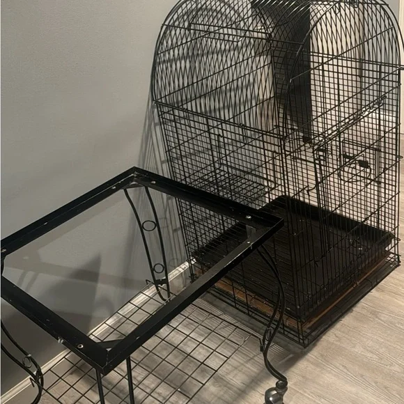 Black Bird Cage